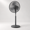 Fans
